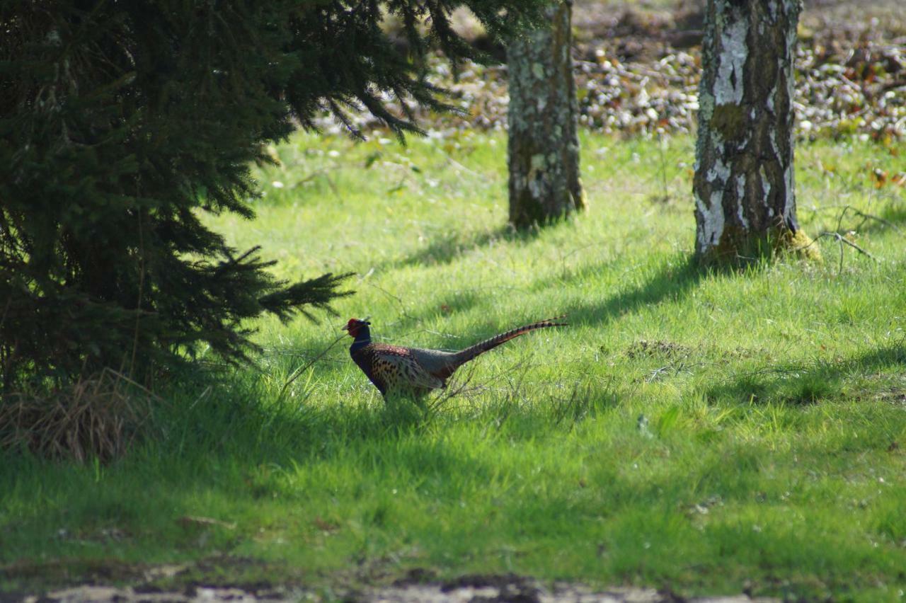 Domaine De Malgarni Villa Clémont Dış mekan fotoğraf